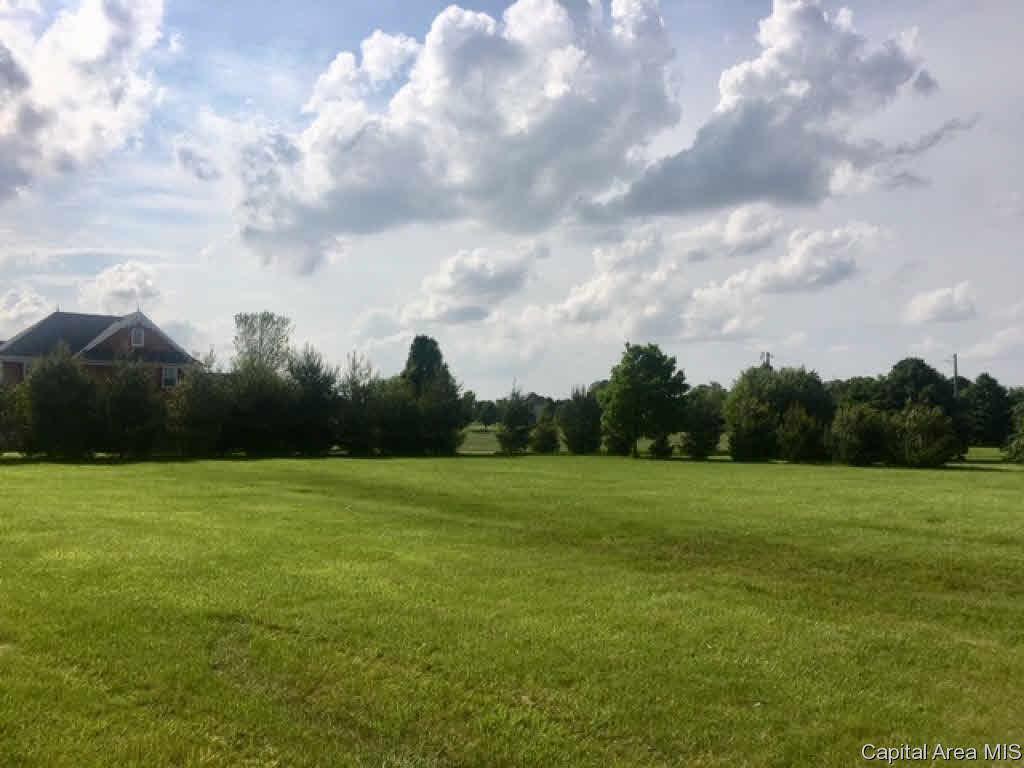 17421 Tice Road - Photo 1