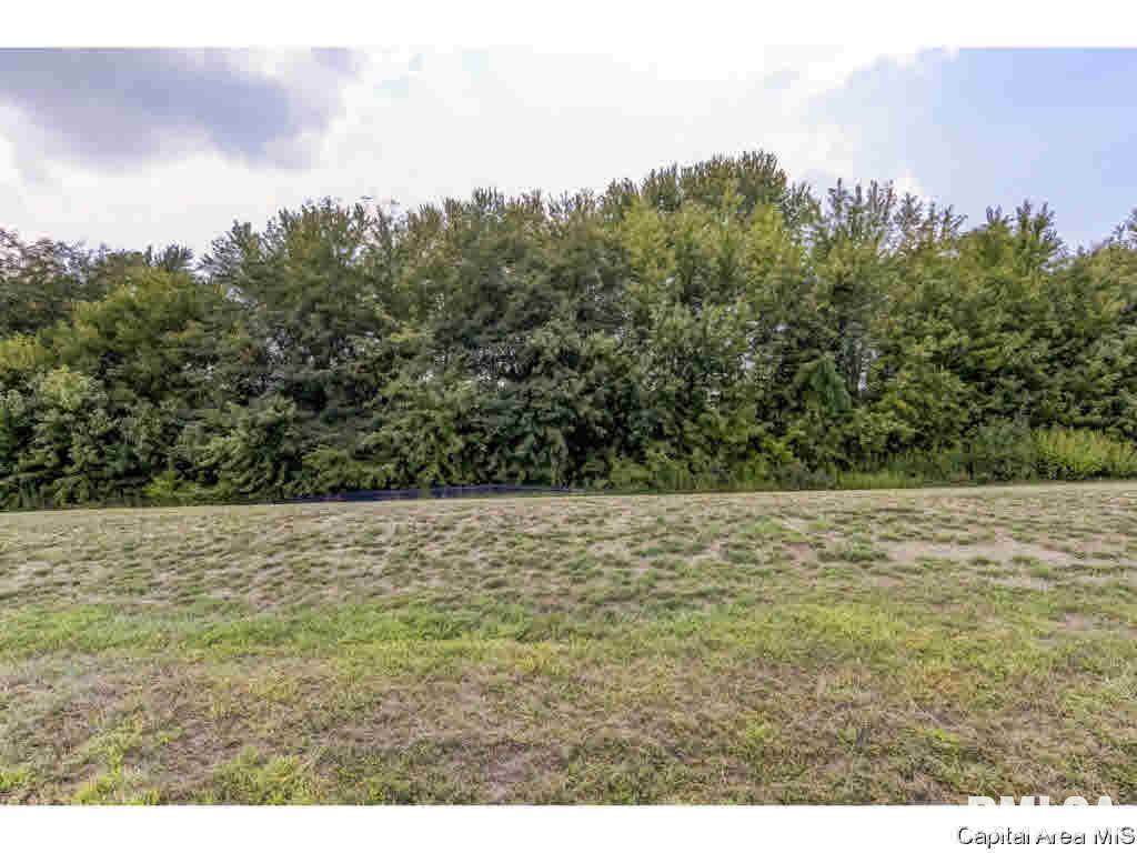 323 Ramblewood Drive - Photo 1