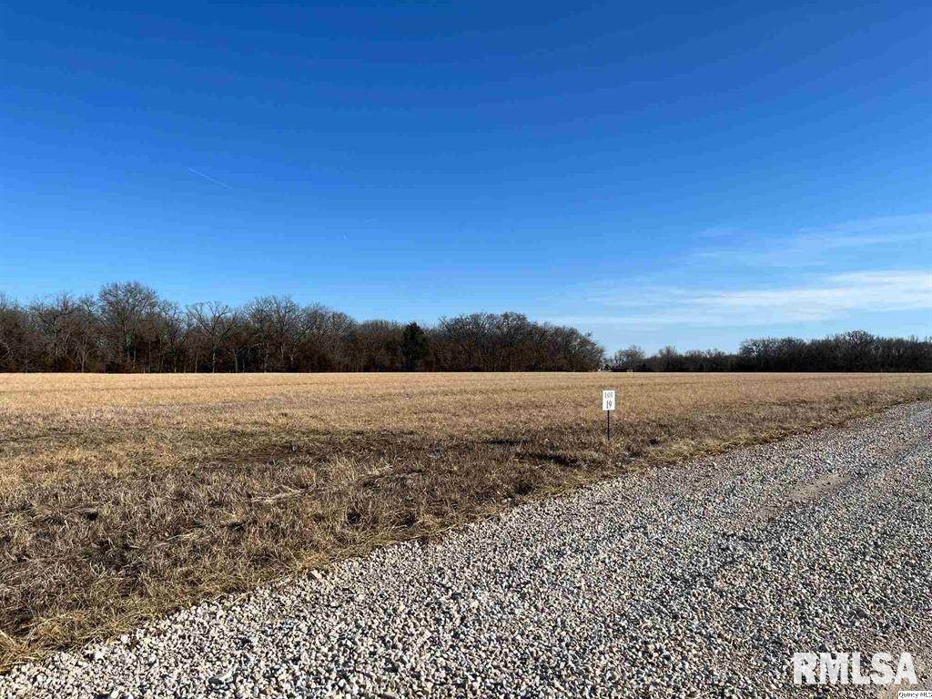 #19 Red Oak Estates - Photo 1