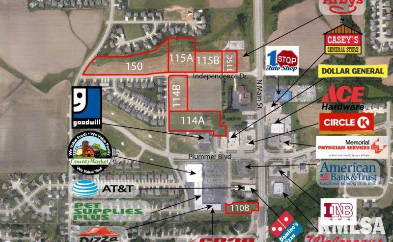Lot 110B Main Street - Photo 1