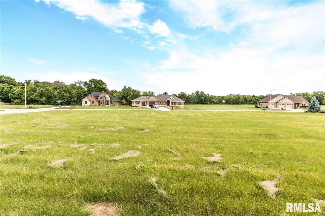 132 Wolf Crossing *** - Photo 1
