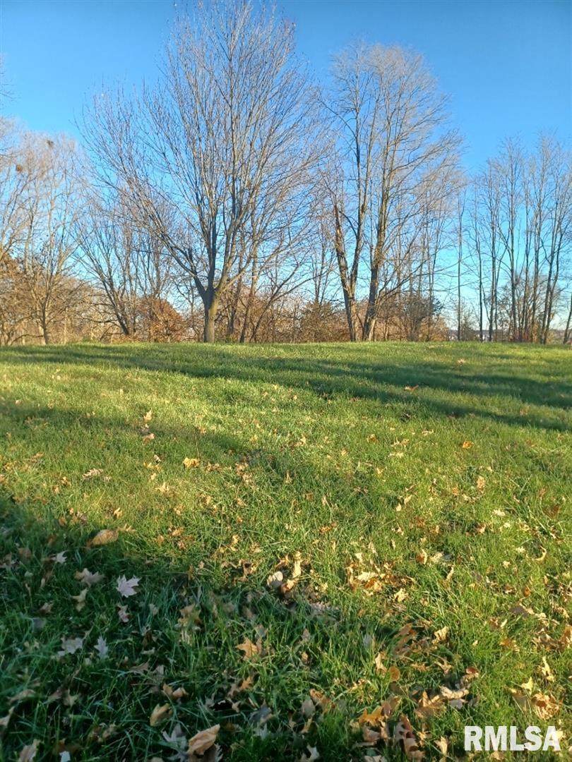 Lot 12 Pine Street - Photo 1