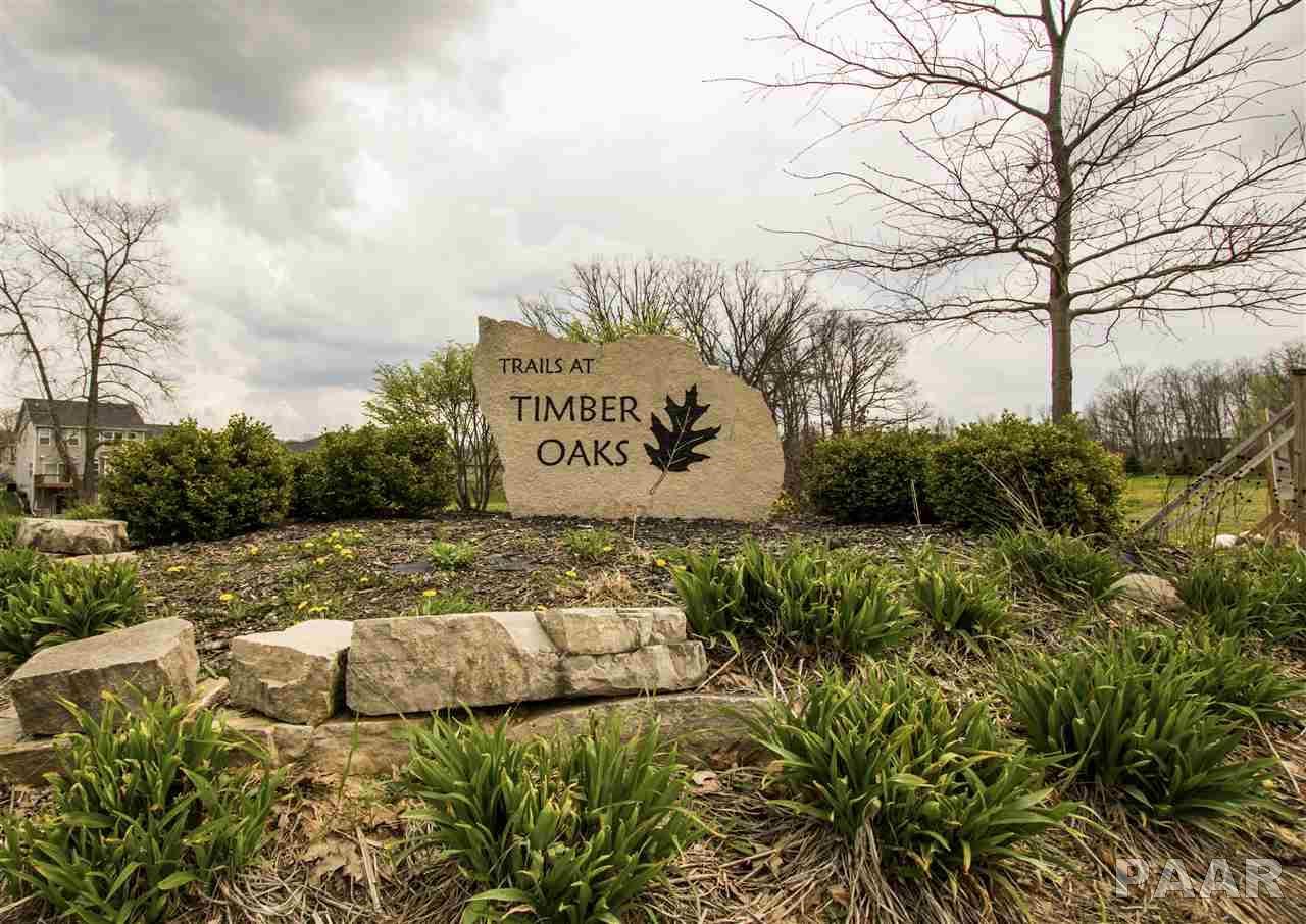 LOT 207 Mossy Trail - Photo 1