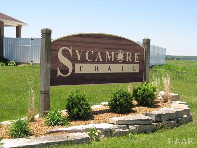 Lot 84 Prairie Springs Drive - Photo 1