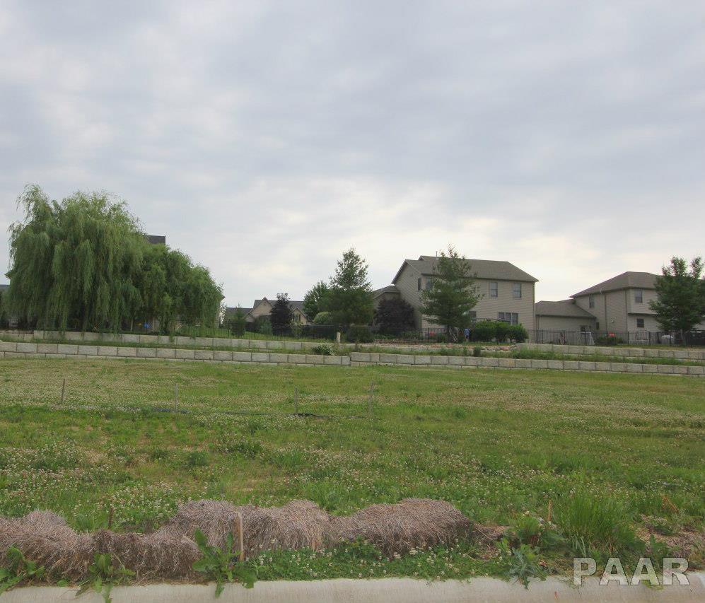 6816 Water Oak Drive - Photo 1