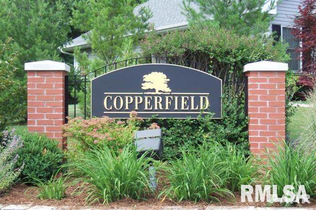 LOT 213 Copper Ridge Court - Photo 1