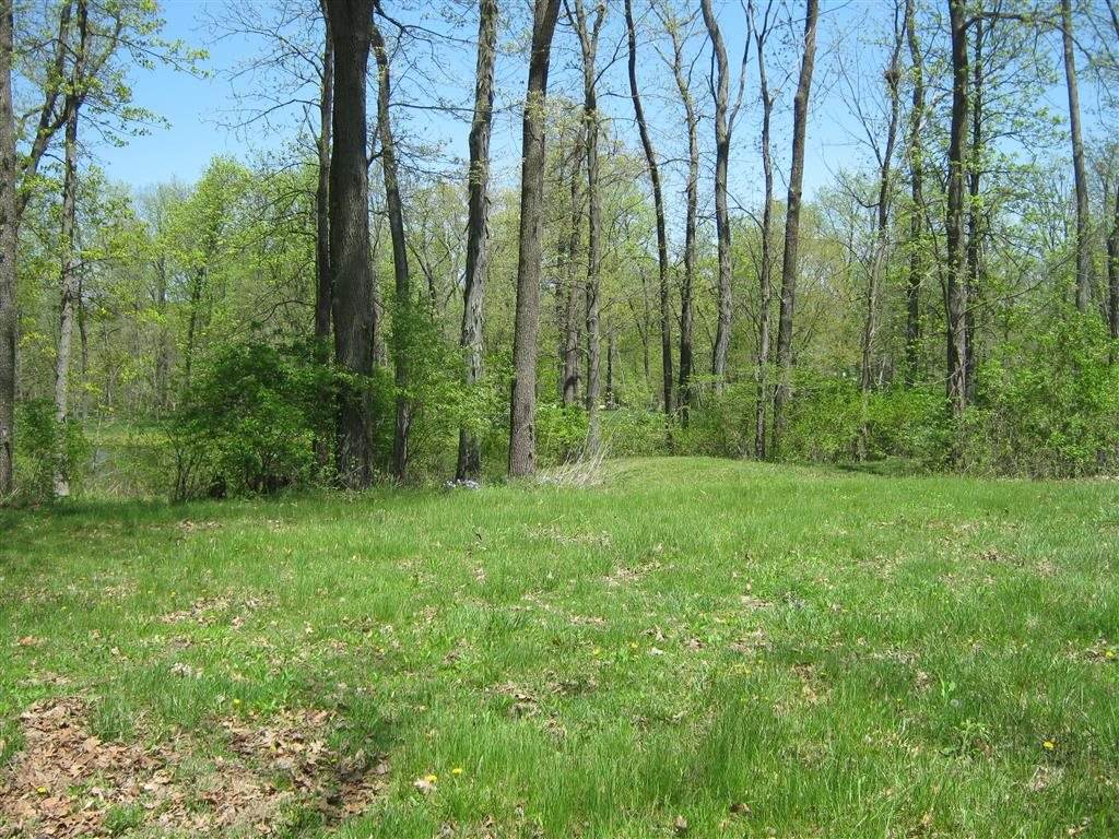 1281 Annandale Road - Photo 1