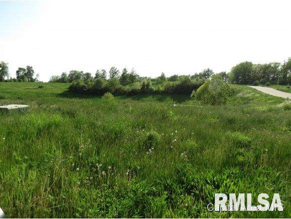 2929 Tanner - Photo 1