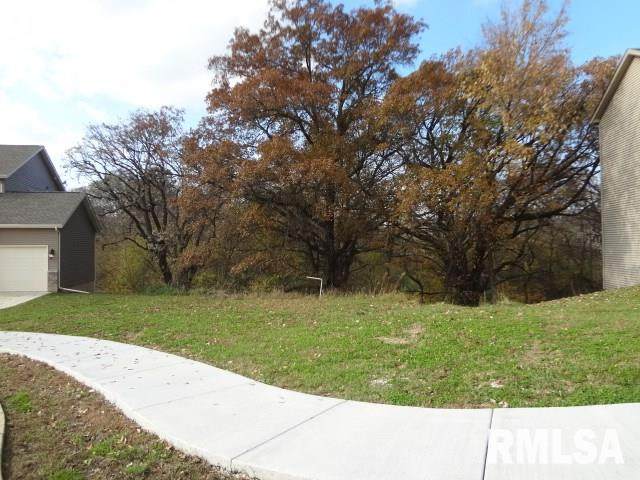 Lot 60 Ironwood Drive - Photo 1