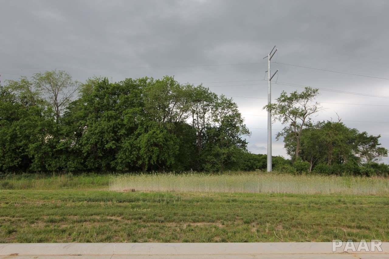 7123 Water Oak Drive - Photo 1