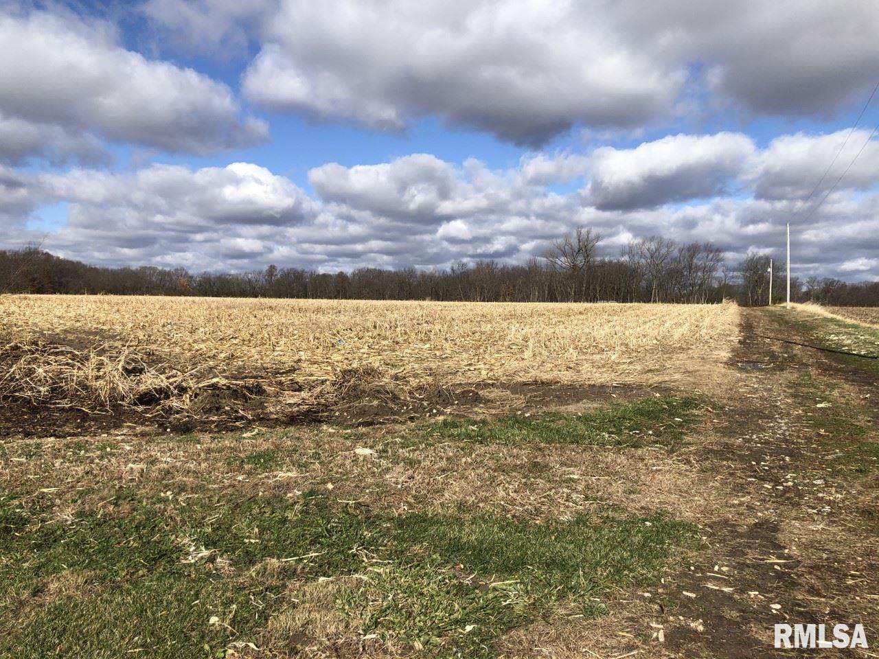 11014 Blooming Grove Road - Photo 1