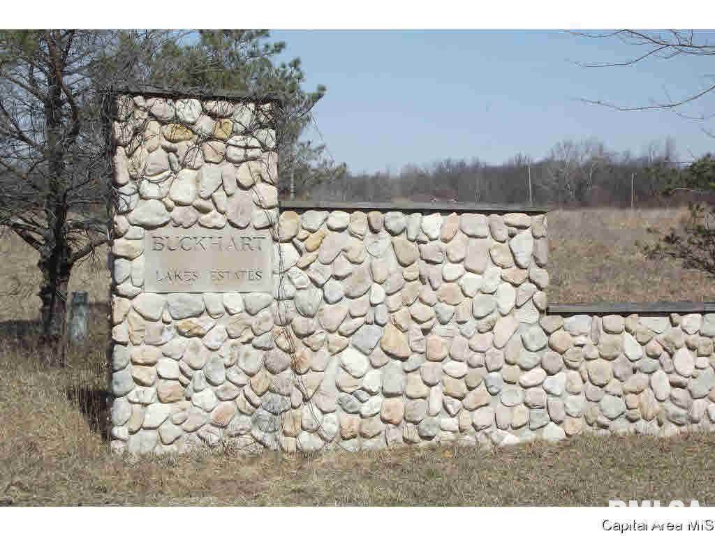 Buckhart Lake Estates - Photo 1