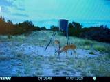 1364 County Rd 1105 - Photo 44