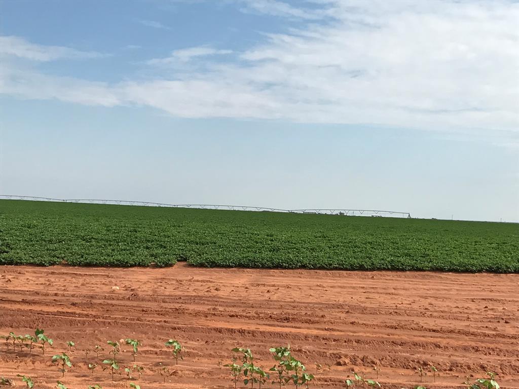 CR 220 & County Rd 215 - Photo 1
