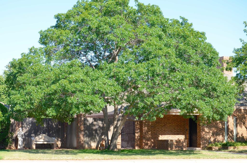 4814 Richmond Dr - Photo 1