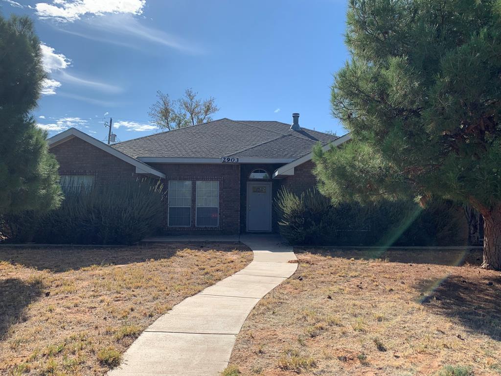 2903 Bluebird Lane - Photo 1