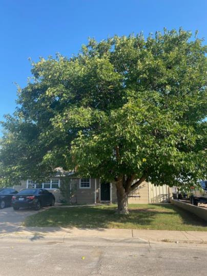 323 Cloud Ave - Photo 1