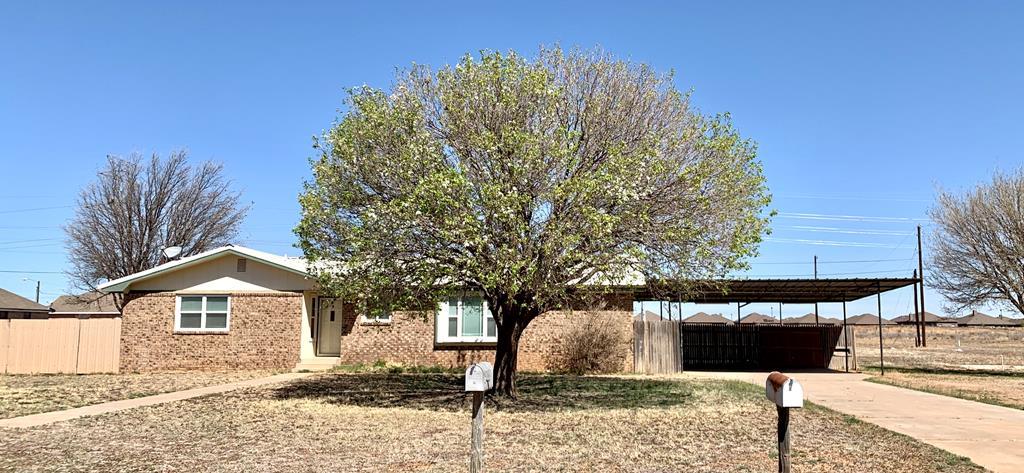 1401 Navajo Drive - Photo 1
