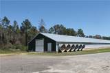 12478 Nashville Enigma Road - Photo 38