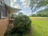 869 County Road 79 - Photo 3