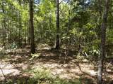 Lot 1 Macon County Road 24 - Photo 4