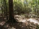Lot 1 Macon County Road 24 - Photo 5