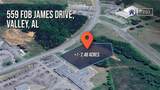 559 Fob James Drive - Photo 3