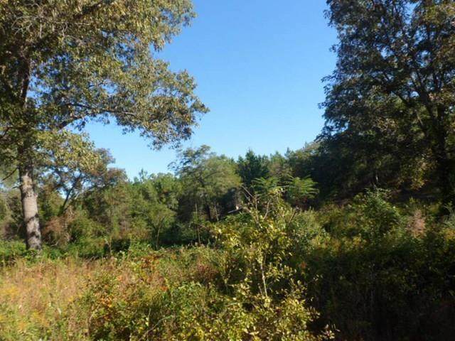 0 Tigner Drive - Photo 1