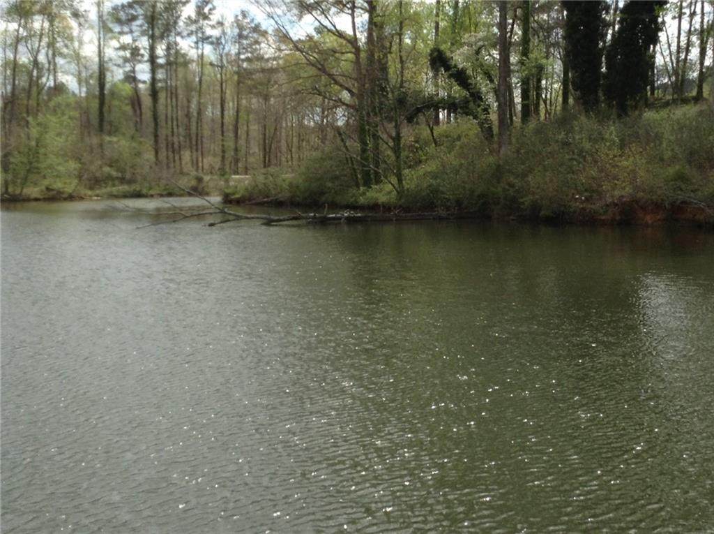 LOT 105 Lee Rd 346 - Photo 1