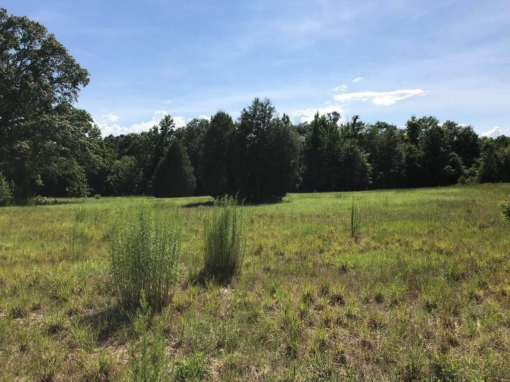 433 Wright Road - Photo 1