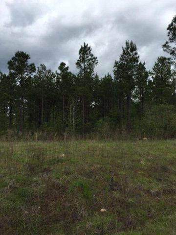226 Lee Rd 2208 - Photo 1
