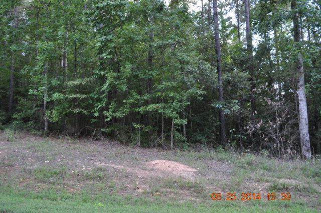 0 Lee Rd 370 - Photo 1