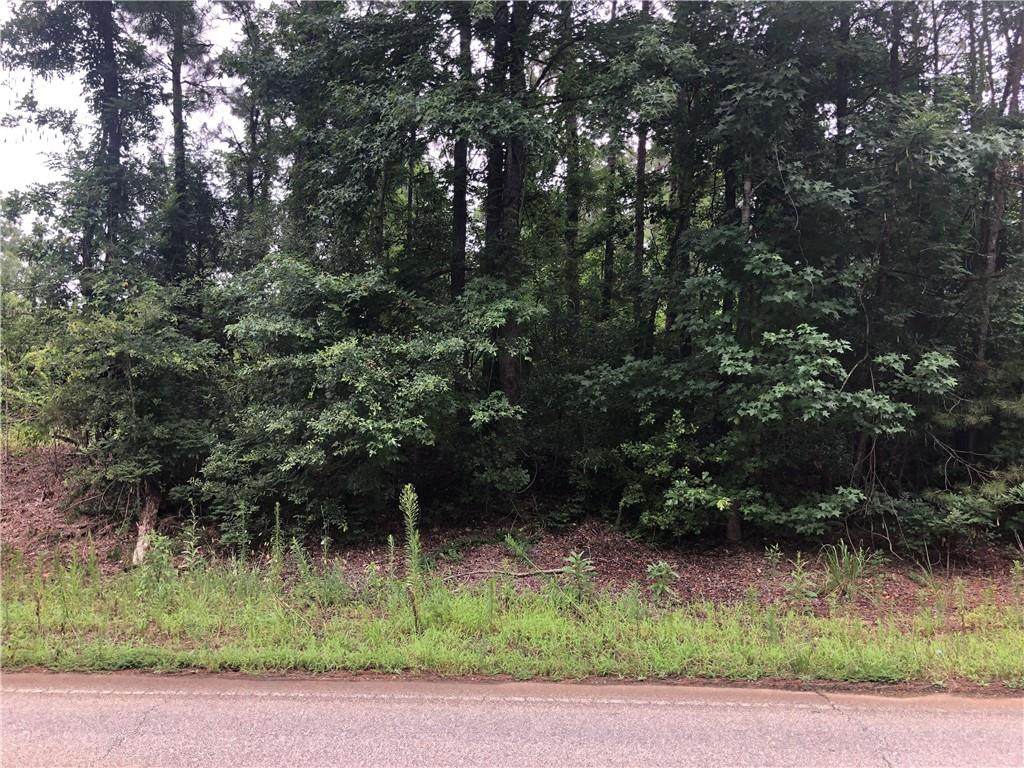 00 Oswichee Road - Photo 1