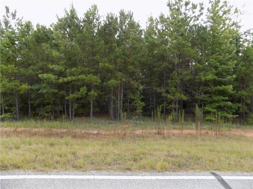 Lot 7 Oswichee Road - Photo 1