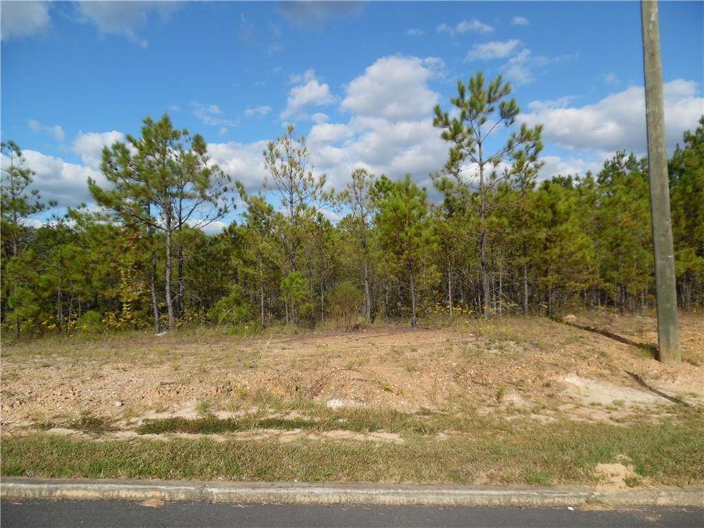 3148 Martin Luther King Jr Pkwy Highway - Photo 1
