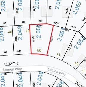 12 Lemon Way - Photo 1