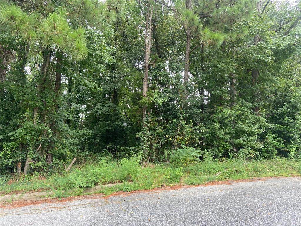 0 Denard Drive - Photo 1