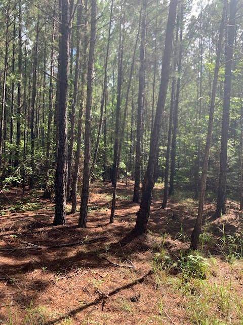 0 Lee Rd 2150 - Photo 1