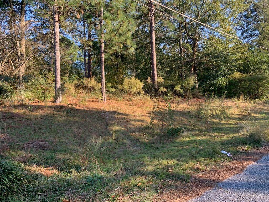0 Lee Rd 485 - Photo 1