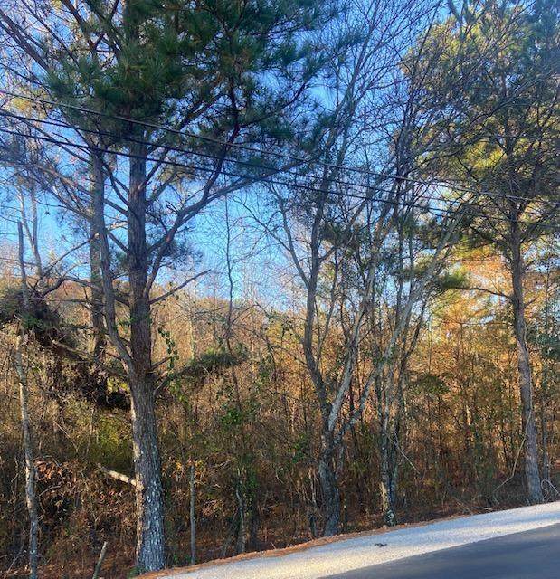 0 Lee Rd 197 - Photo 1