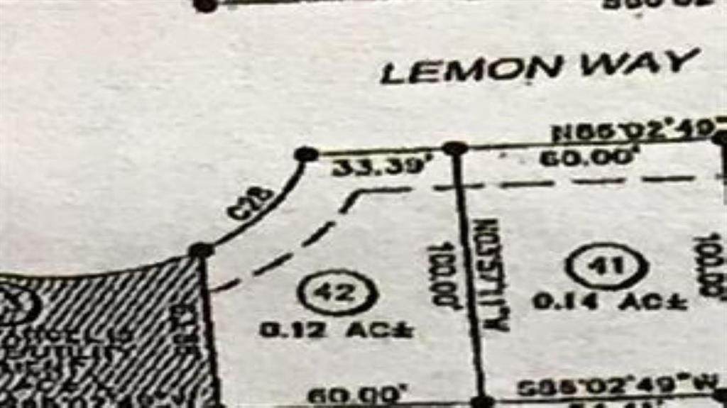 19 Lemon Way - Photo 1
