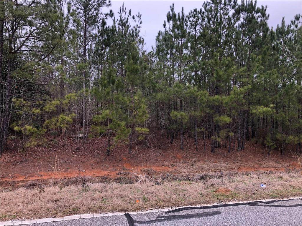 Lot 2.3 Oswichee Road - Photo 1