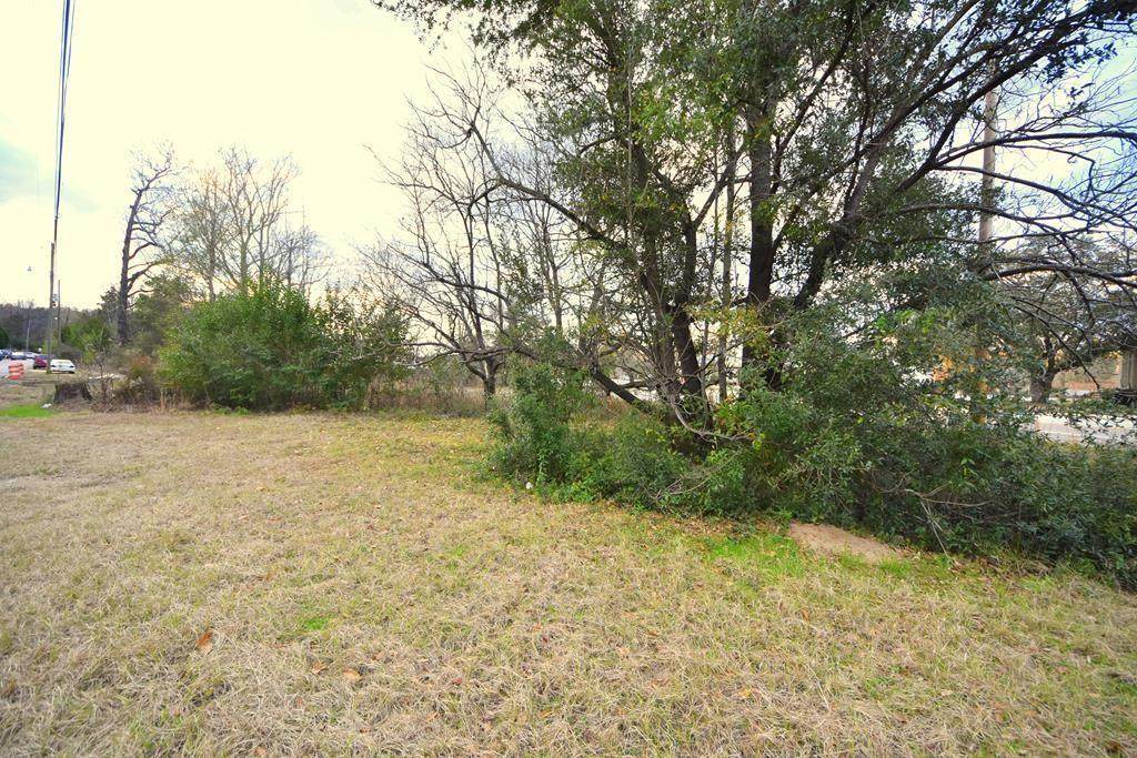 1603 Opelika Road - Photo 1