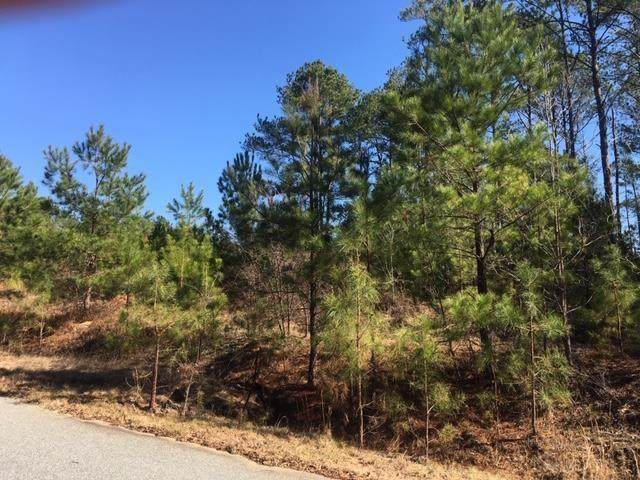 37 Ihagee Creek Circle - Photo 1