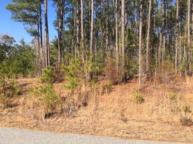 49 Ihagee Creek Circle - Photo 1