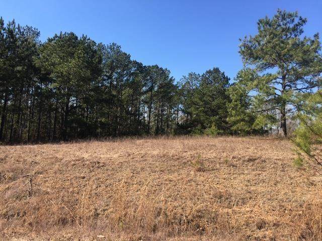 1 Ihagee Creek Circle - Photo 1
