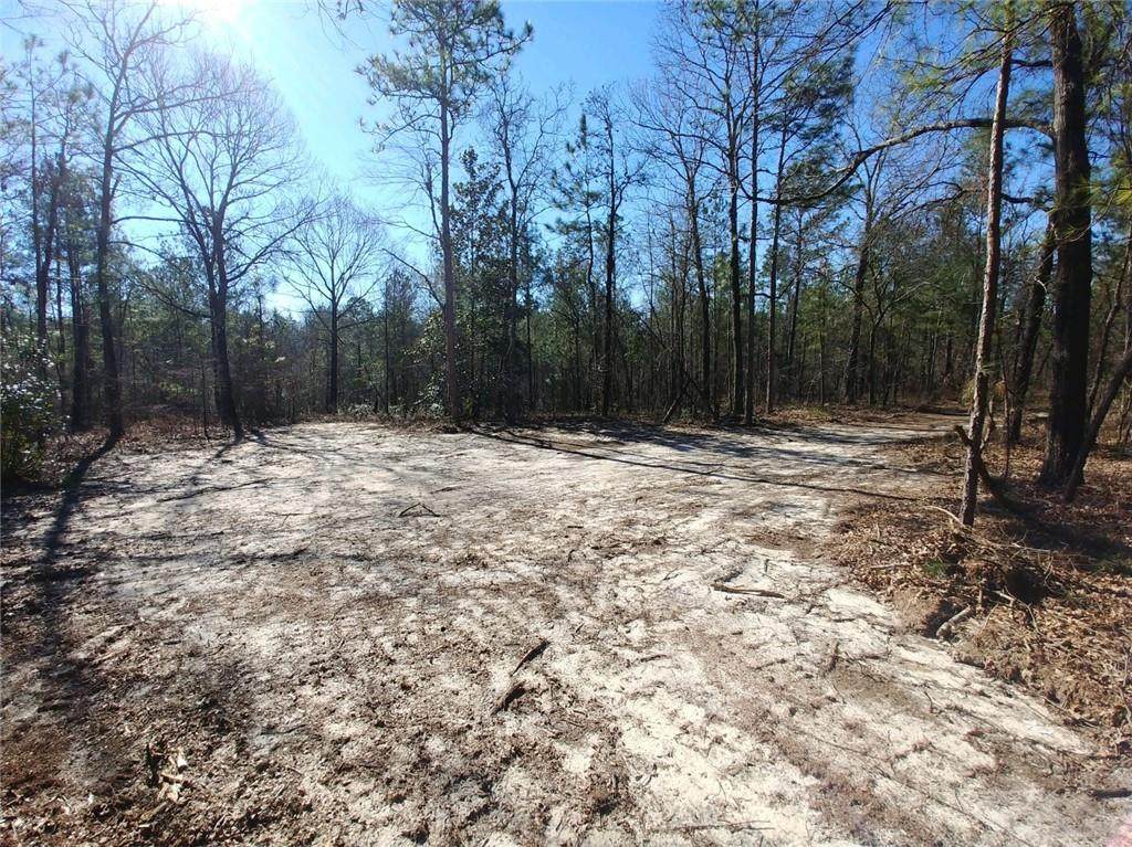 4797 Highway 431 - Photo 1