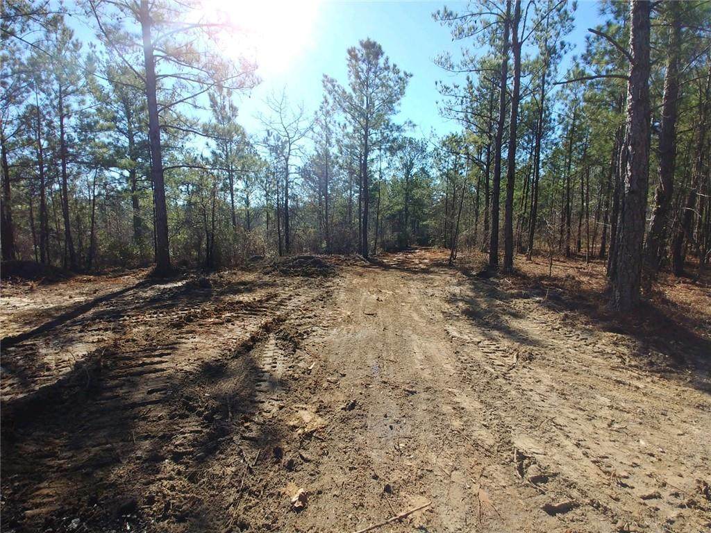 4809 Highway 431 - Photo 1