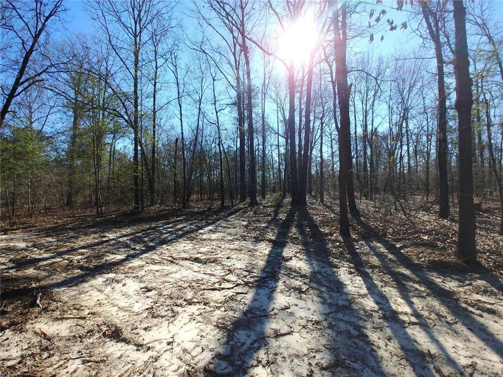 4821 Highway 431 - Photo 1
