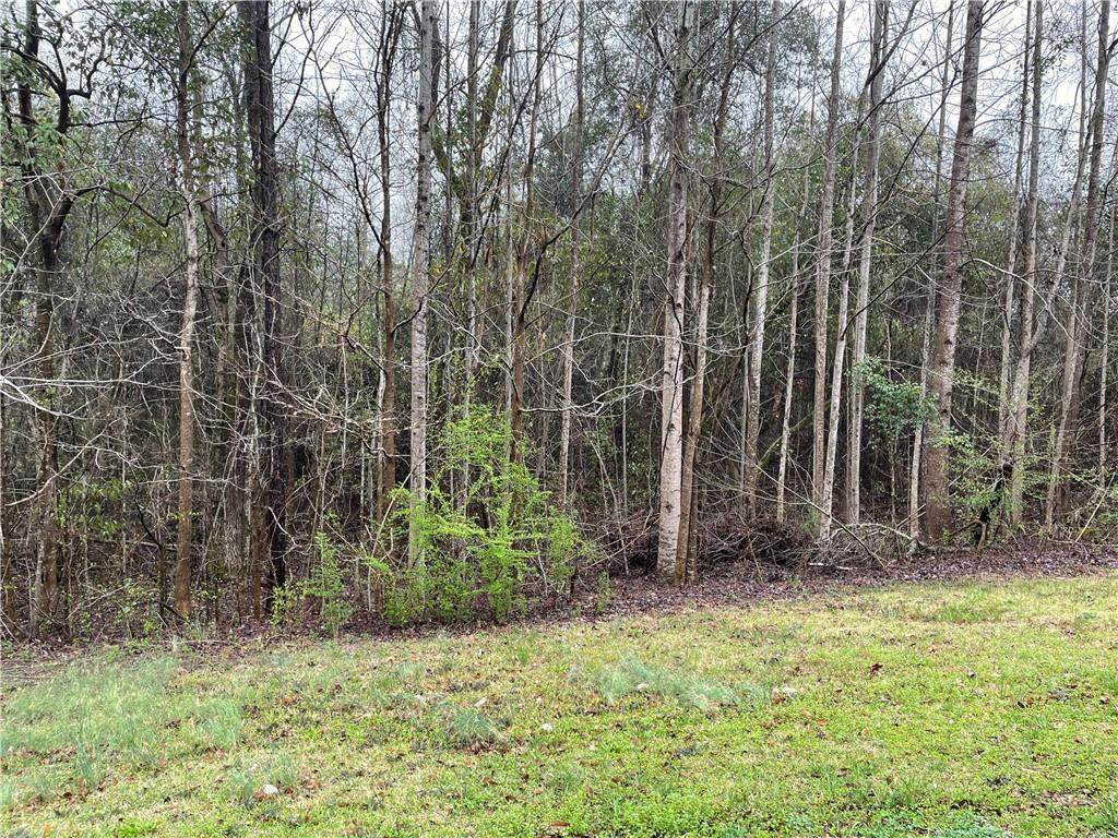 0 Lee Rd 2056 - Photo 1